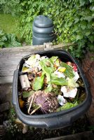 Waste in a compost bin