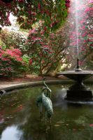 The fountain and pool surrounded by rhododendrons - Holker Hall, Cumbria