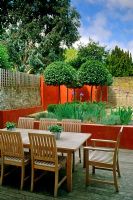Small urban garden with raised beds, Laurus nobilis standards and dining area - Twickenham, Middlesex 

