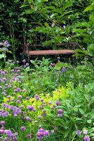 Small herb garden with seat surrounded by  Allium schoenoprasum, Salvia and Golden Majoram