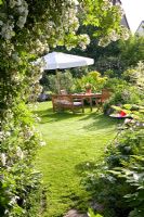 Seating area in suburban garden with Rosa 'Rambling Rector' in forground