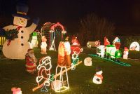 Illuminated Christmas garden