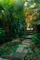 Mixed tropical planting with Trachycarpus fortunei and paved pathway - The Hockett, Marlow, UK