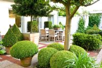 Dining area on terrace with clipped evergreens in pots in small garden