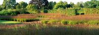 The drifts of Grasses Garden planted with Molinia caerulea subsp. Caerulea within the walled Garden at Scampston Hall designed by Piet Oudolf