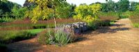 Seating area in The drifts of Grasses Garden planted with Molinia caerulea subsp. Caerulea within the walled Garden at Scampston Hall designed by Piet Oudolf