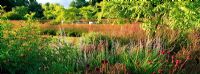 View to The drifts of Grasses Garden within the Walled Garden at Scampston Hall designed by Piet Oudolf