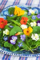 Herb salad of edible flowers and leaves, including borage, nasturtium flowers and leaves, pansy, parsley and sorrel.
