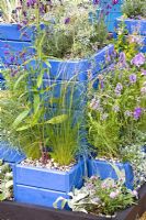 Mixed grasses and plants in blue wooden containers