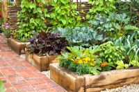 Raised wooden beds in vegetable garden