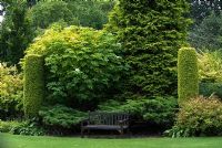 Wooden bench with mature trees and shrubs in the walled garden - Crathes Castle Garden, Aberdeenshire, Scotland