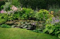 Attractive pond in a small garden giving a natural appearance by a grass edge and backdrop of moisture loving shrubs and perennials