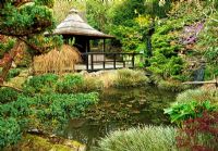 Lake edged wtih Acorus gramineus 'Variegatus' with waterfall framed by juniper and azaleas and Japanese style building in The Japanese Garden, St Mawgan, Cornwall