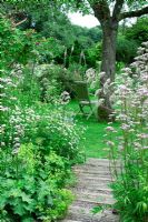 Mixed flowerbed with Valeriana officinalis and Alchemilla mollis - Jardin de Valérianes, France 