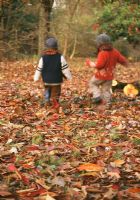 Children running amongst falling autumn leaves