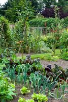Vegetable bed with leeks and chard with espalier apples