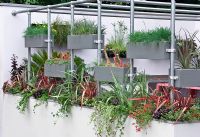 Aerial steel planters supported on poles around the edge of roof terrace - Design - Foundation Degree Course and Landscape Design Students (Year 3) Warwickshire College - RHS Hampton Court Palace Flower Show - Bronze medal