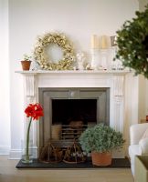 Candles and wreath on mantlepiece of fireplace with Amaryllis in vase on hearth