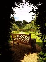 Chinese lattice teak garden bench