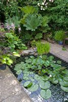 Pond with Nymphaea surrounded by Gunnera manicata, Rosa 'Francesca' and Hosta, with grid for protection against Herons