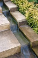Water running down stepped rill with clipped hedge of Lonicera nitida 'Baggesen's Gold'