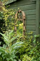 Framed mirror set upon green shed wall
