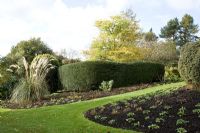 Autumn borders newly planted for Spring in garden with mature trees and shrubs striking plumes of Pampas Grass - Dorothy Clive Garden, Staffordshire NGS
