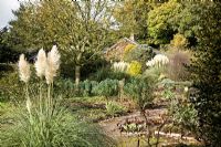 Autumn beds with mature trees and shrubs, striking plumes of Cortaderia - Dorothy Clive Garden Staffordshire NGS 
