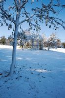 Fresh covering of snow on a rustic wooden gazebo in country garden with Fraxinus tree in foreground