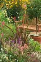 Wooden bench in garden with Laurus nobilis - bay tree in pot and mixed borders with Phormium