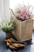 Pink Calluna vulgaris 'Quintet' and white Calluna vulgaris in hessian bag with hand fork and leather gardening gloves