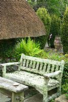 Lichen encrusted wooden bench with Thatched Garden beyond featuring fastigiate yews, Taxus baccata Aurea Group, around large pithoi - Caervallack Farm, St Martin, Helston, Cornwall, UK