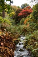 The Dutch Bridge and Scrape Burn with autumn colours at Dawyck Botanic Garden, Peebleshire, Scotland