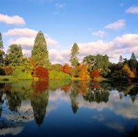 Trees reflecting in the lake in Autumn -  Sheffield Park Gardens, Sussex