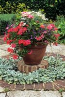 Mixed summer containter on brick circle in kitchen garden - Scotlands, Buckinghamshire