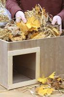 Step by step 6 of making a hedgehog house - Filling wooden box with straw and dry leaves