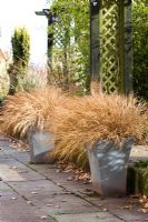 Hakonechloa macra 'Aureola' in pots on the patio at Gladderbook Farm, Worcestershire