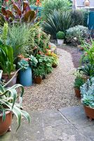 Fuchsia 'Karolle', Pelargonium 'Vancouver Centennial', Saxifrage, Graptopetalum paraguayense, Agave americana, Thymus and Echiveria in pots beside a gravel path