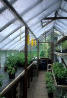 Greenhouse interior with bubblewrap for shade - Old Rectory, Sudborough