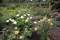 Mixed cottage border of Rosa, Paeonia, Geranium and Lavandula, wooden pergola in background - Sexby Garden, Peckham Rye Park, London, Heritage Lottery Fund 