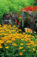 Hot border planting including Helenium 'Wyndley', Hemerocallis, Canna and Crocosmia x crocosmiflora 'Firebird'
