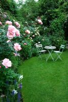 The secret garden with lawn, wooden table and chairs and Rosa 'Natalie' - Cross Villas, Shropshire 