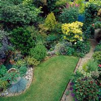 Overview of town garden with lawn and mixed planting - Barnet, London 