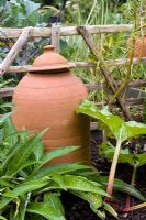 Terracotta Rhubarb forcing pot