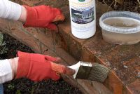 Woman applying moss and algae killer to brick wall of raised beds
