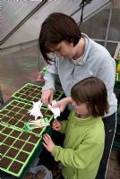 Mother and daughter looking for the correct plant label for Leek 'Lyon Prizetaker' before sowing the seeds in trays in a greenhouse in early Spring