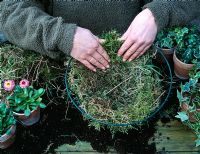 Step 1 of making a spring hanging basket - Layer of sphagnum moss being packed around basket