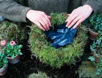 Step 2 of making a spring hanging basket - Plastic liner added to moss to help retain moisture