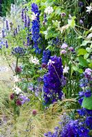 Blue themed mixed planting Benecol's Prism Corner Garden, supporting Rainbow Trust - RHS Hampton Court Flower Show 2008 