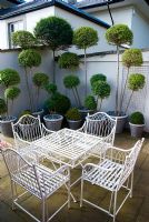 Clipped Ligustrum delavayanum and Buxus in containers with white metal table and chairs